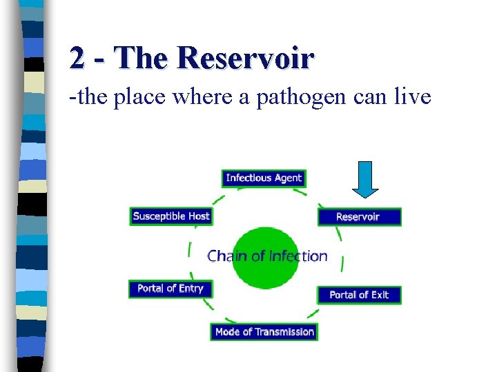 2 - The Reservoir -the place where a pathogen can live 