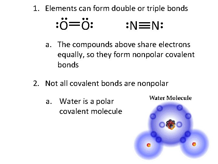 1. Elements can form double or triple bonds O O N N a. The