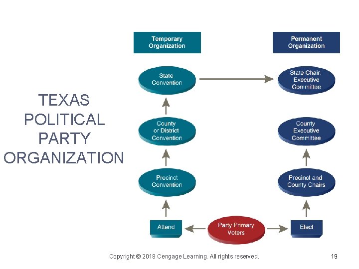 TEXAS POLITICAL PARTY ORGANIZATION Copyright © 2018 Cengage Learning. All rights reserved. 19 