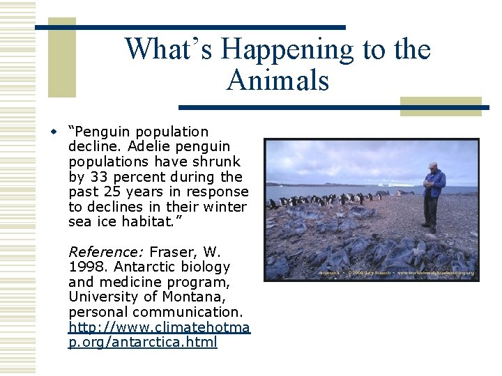 What’s Happening to the Animals w “Penguin population decline. Adelie penguin populations have shrunk
