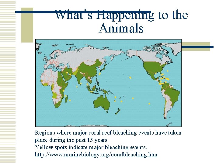 What’s Happening to the Animals Regions where major coral reef bleaching events have taken