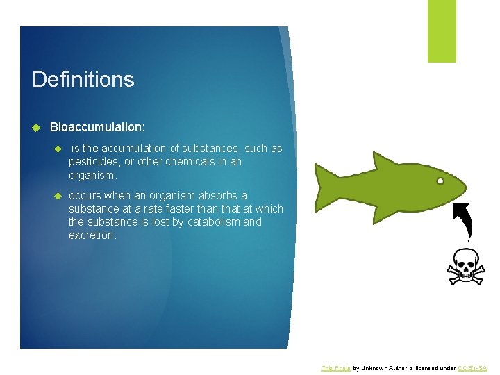 Definitions Bioaccumulation: is the accumulation of substances, such as pesticides, or other chemicals in
