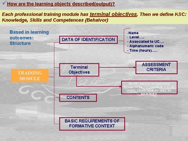 üHow are the learning objects described(output)? Each professional training module has terminal objectives. Then