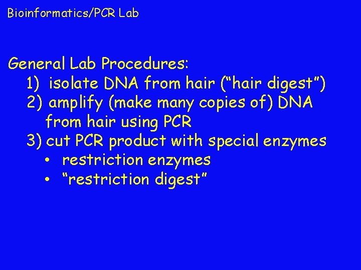 Bioinformatics/PCR Lab General Lab Procedures: 1) isolate DNA from hair (“hair digest”) 2) amplify