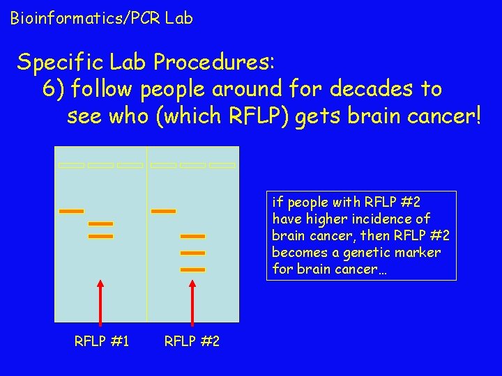 Bioinformatics/PCR Lab Specific Lab Procedures: 6) follow people around for decades to see who