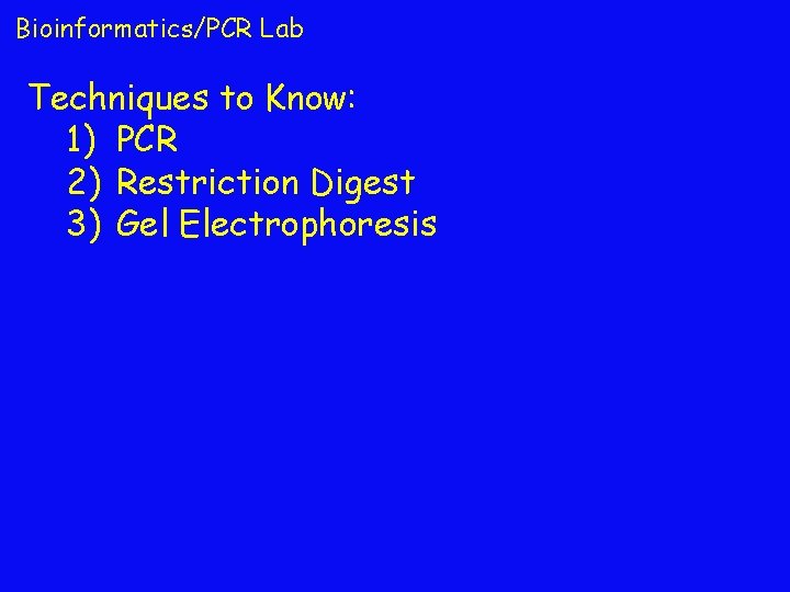 Bioinformatics/PCR Lab Techniques to Know: 1) PCR 2) Restriction Digest 3) Gel Electrophoresis 