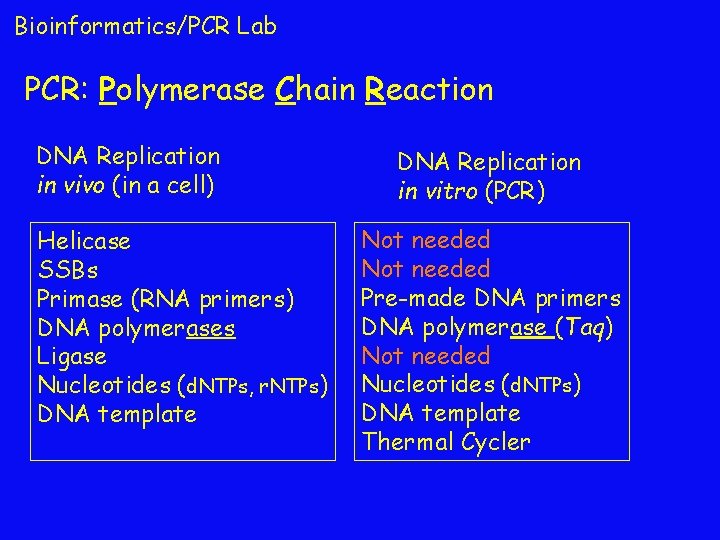 Bioinformatics/PCR Lab PCR: Polymerase Chain Reaction DNA Replication in vivo (in a cell) Helicase