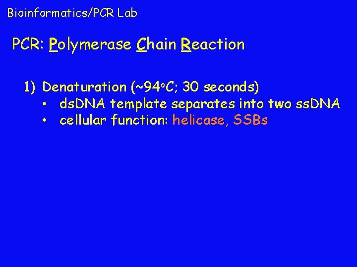 Bioinformatics/PCR Lab PCR: Polymerase Chain Reaction 1) Denaturation (~94 o. C; 30 seconds) •