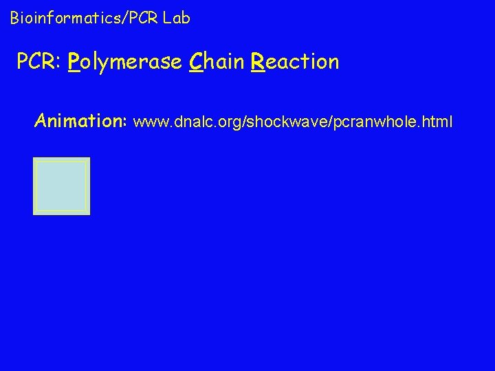 Bioinformatics/PCR Lab PCR: Polymerase Chain Reaction Animation: www. dnalc. org/shockwave/pcranwhole. html 