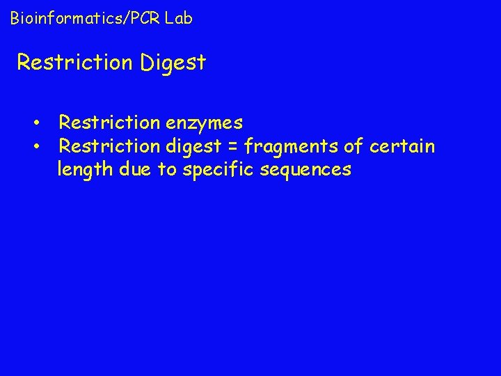 Bioinformatics/PCR Lab Restriction Digest • Restriction enzymes • Restriction digest = fragments of certain