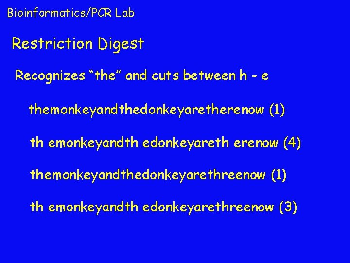 Bioinformatics/PCR Lab Restriction Digest Recognizes “the” and cuts between h - e themonkeyandthedonkeyaretherenow (1)