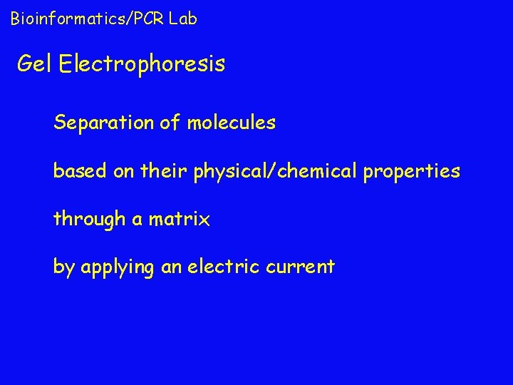 Bioinformatics/PCR Lab Gel Electrophoresis Separation of molecules based on their physical/chemical properties through a