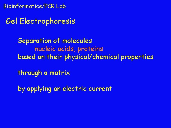 Bioinformatics/PCR Lab Gel Electrophoresis Separation of molecules nucleic acids, proteins based on their physical/chemical