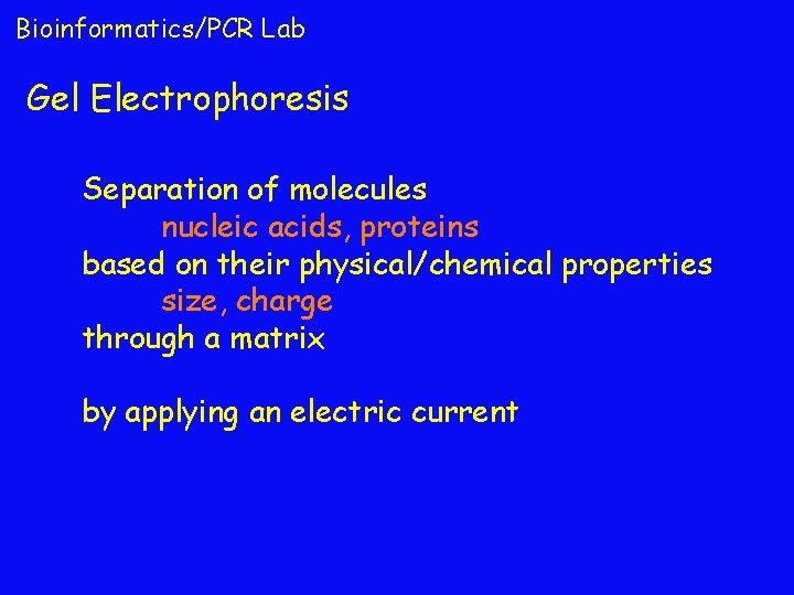 Bioinformatics/PCR Lab Gel Electrophoresis Separation of molecules nucleic acids, proteins based on their physical/chemical