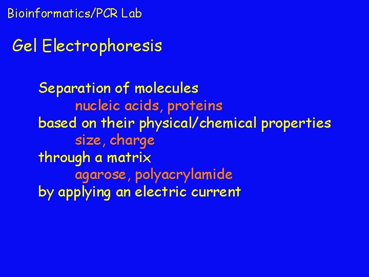 Bioinformatics/PCR Lab Gel Electrophoresis Separation of molecules nucleic acids, proteins based on their physical/chemical