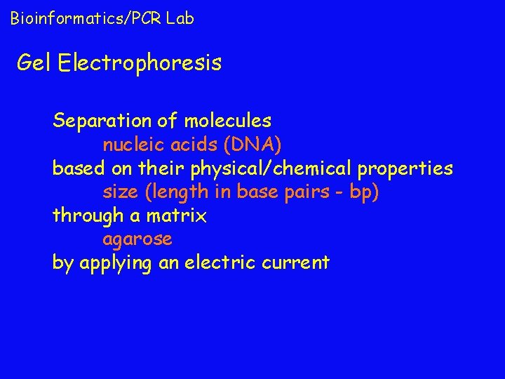 Bioinformatics/PCR Lab Gel Electrophoresis Separation of molecules nucleic acids (DNA) based on their physical/chemical