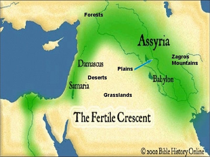 Forests Zagros Mountains Plains Deserts Grasslands 