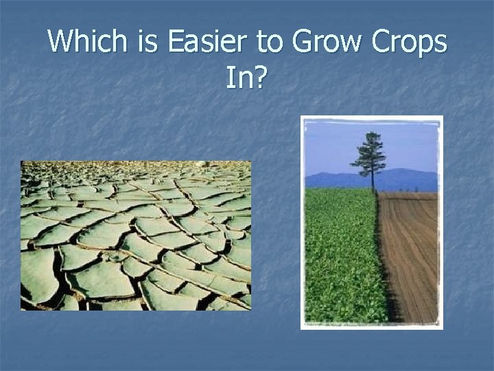 Which is Easier to Grow Crops In? 