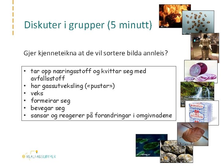 Diskuter i grupper (5 minutt) Gjer kjenneteikna at de vil sortere bilda annleis? •