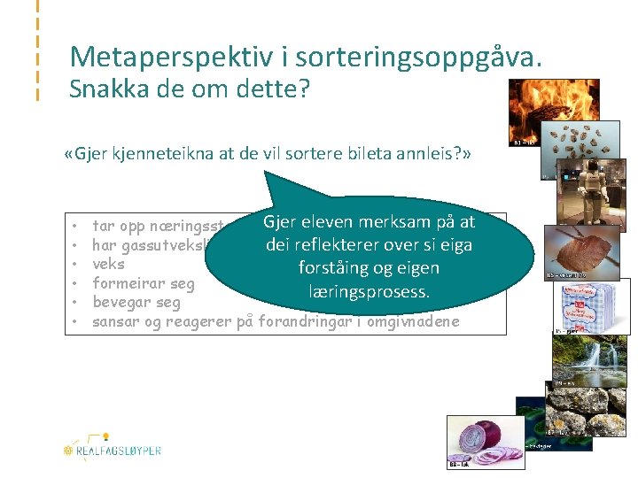 Metaperspektiv i sorteringsoppgåva. Snakka de om dette? «Gjer kjenneteikna at de vil sortere bileta