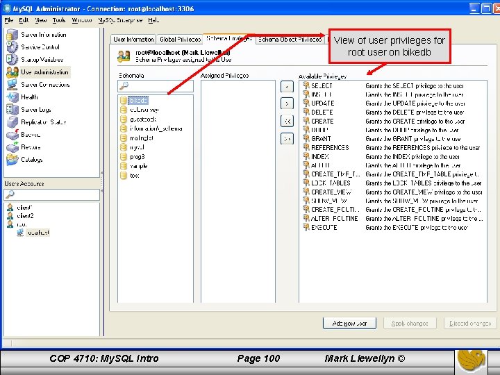 View of user privileges for root user on bikedb COP 4710: My. SQL Intro