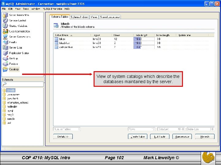 View of system catalogs which describe the databases maintained by the server. COP 4710: