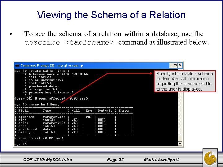Viewing the Schema of a Relation • To see the schema of a relation