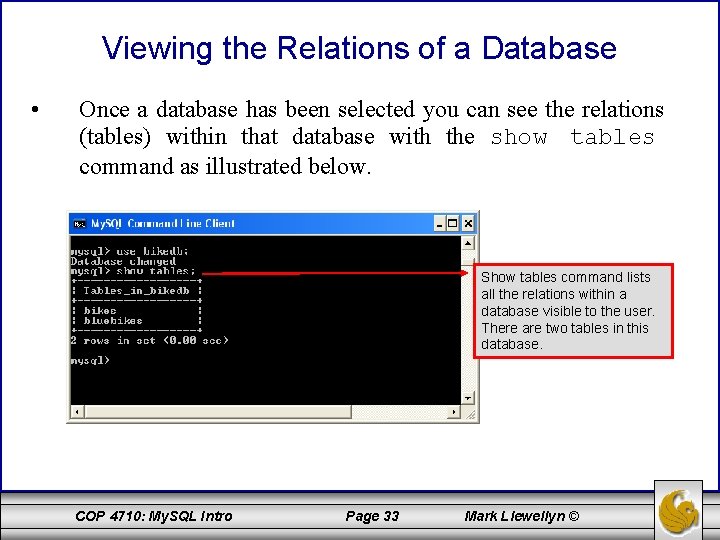 Viewing the Relations of a Database • Once a database has been selected you