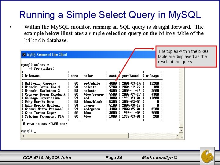 Running a Simple Select Query in My. SQL • Within the My. SQL monitor,