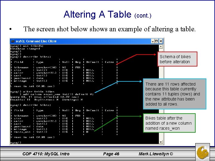 Altering A Table (cont. ) • The screen shot below shows an example of