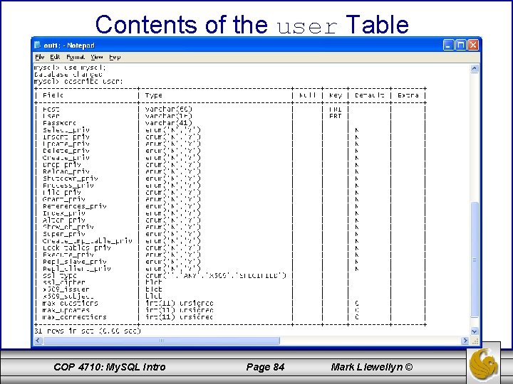 Contents of the user Table COP 4710: My. SQL Intro Page 84 Mark Llewellyn