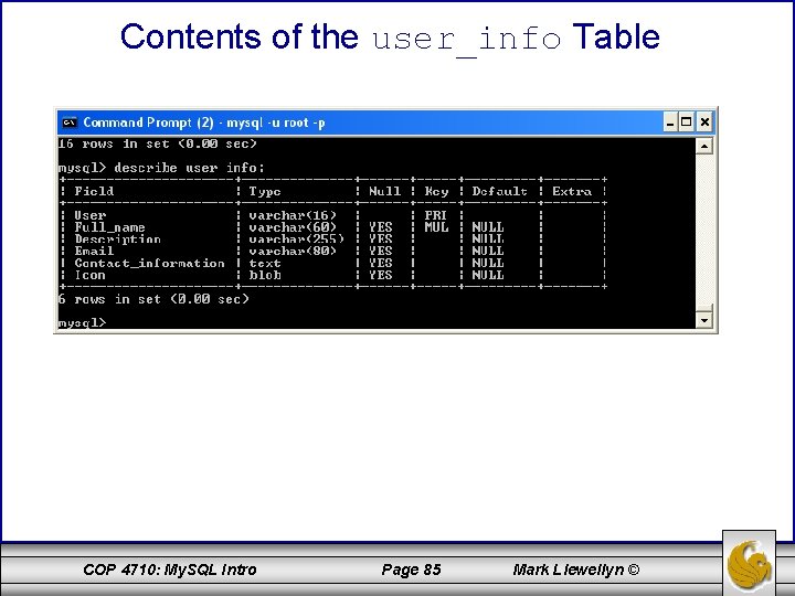 Contents of the user_info Table COP 4710: My. SQL Intro Page 85 Mark Llewellyn