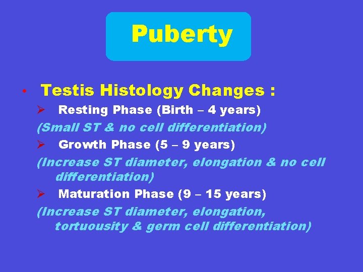 Puberty • Testis Histology Changes : Ø Resting Phase (Birth – 4 years) (Small