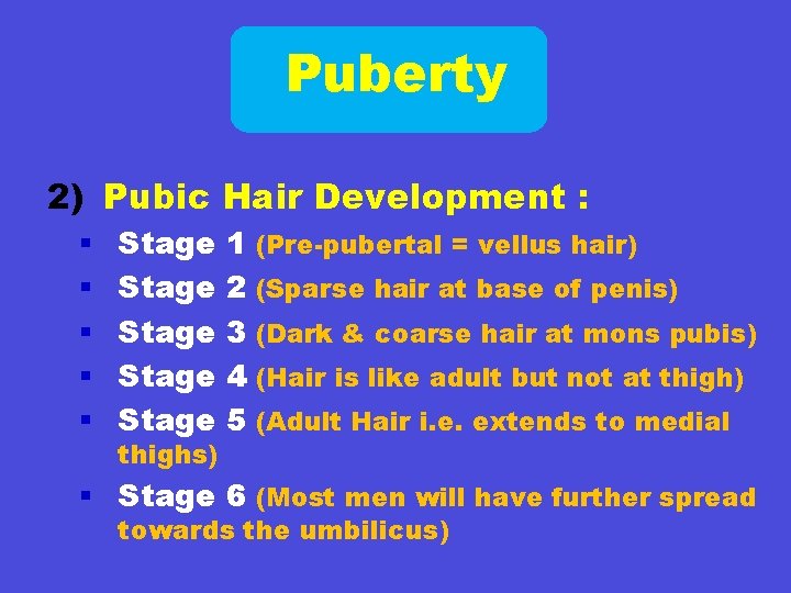 Puberty 2) Pubic Hair Development : § § § Stage Stage thighs) 1 (Pre-pubertal