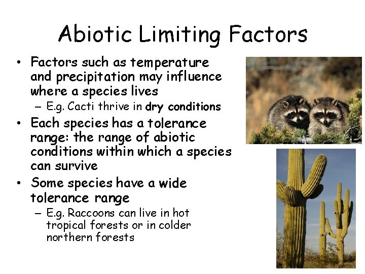 Abiotic Limiting Factors • Factors such as temperature and precipitation may influence where a