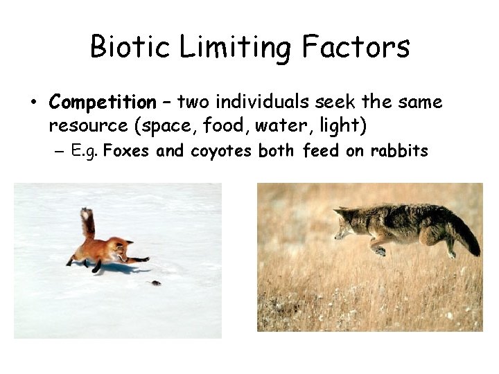 Biotic Limiting Factors • Competition – two individuals seek the same resource (space, food,