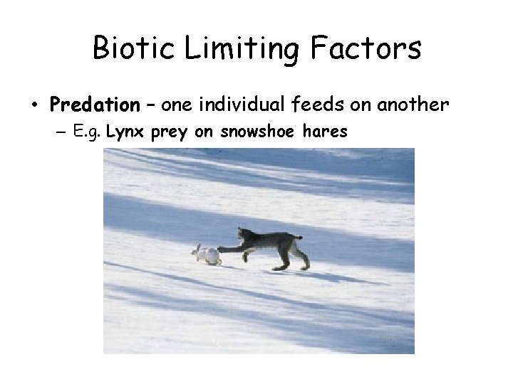 Biotic Limiting Factors • Predation – one individual feeds on another – E. g.