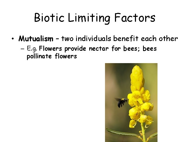 Biotic Limiting Factors • Mutualism – two individuals benefit each other – E. g.