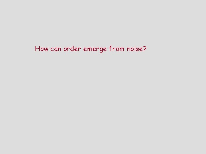 How can order emerge from noise? 