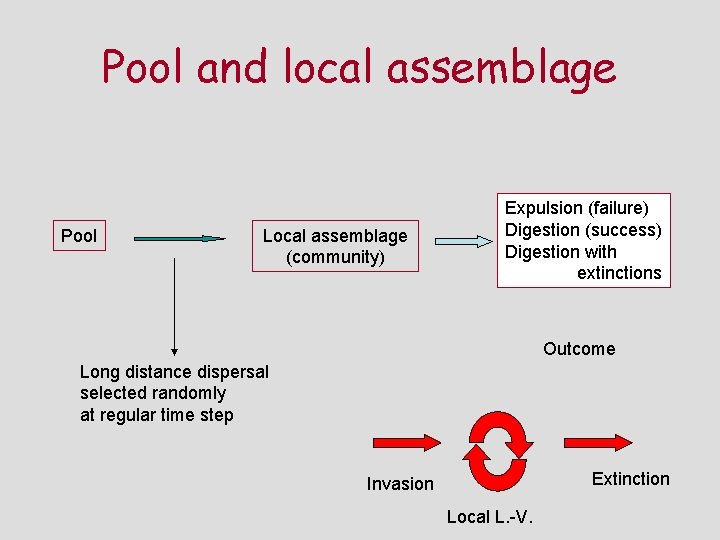Pool and local assemblage Pool Local assemblage (community) Expulsion (failure) Digestion (success) Digestion with