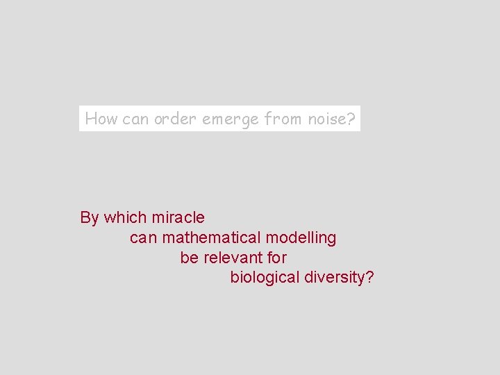 How can order emerge from noise? By which miracle can mathematical modelling be relevant