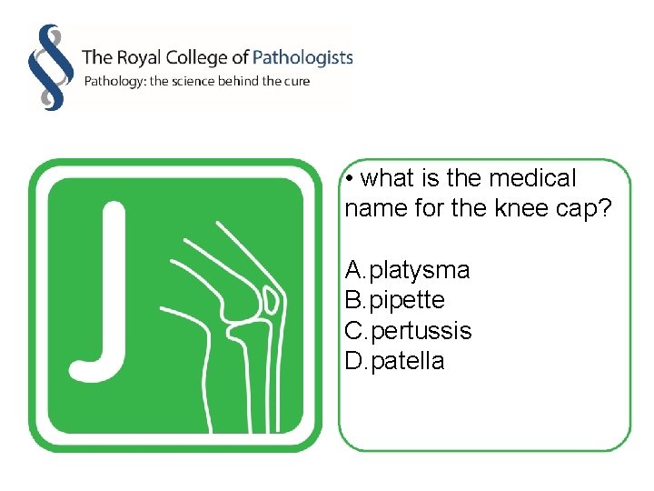  • what is the medical name for the knee cap? A. platysma B.