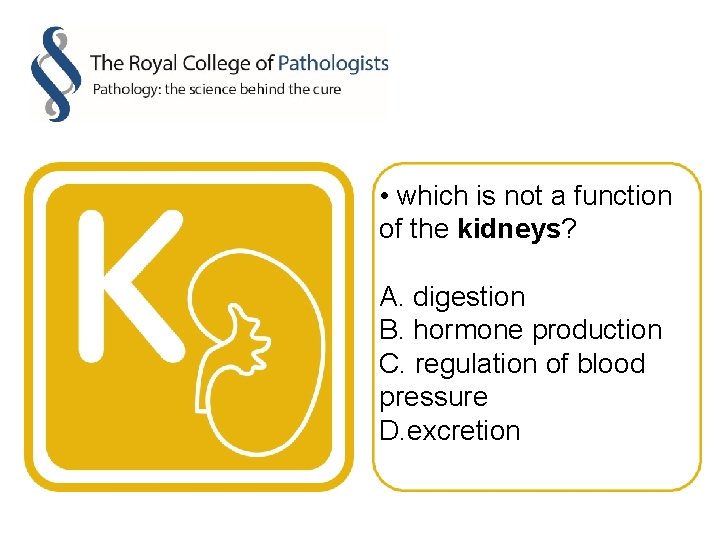  • which is not a function of the kidneys? A. digestion B. hormone