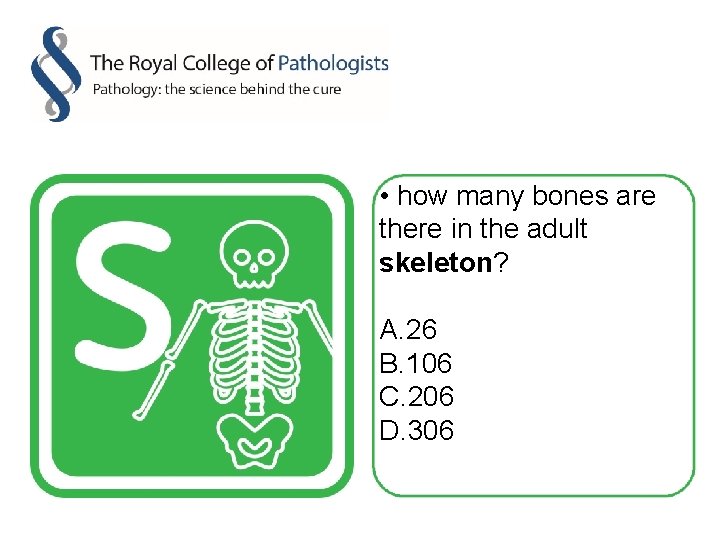 • how many bones are there in the adult skeleton? A. 26 B.