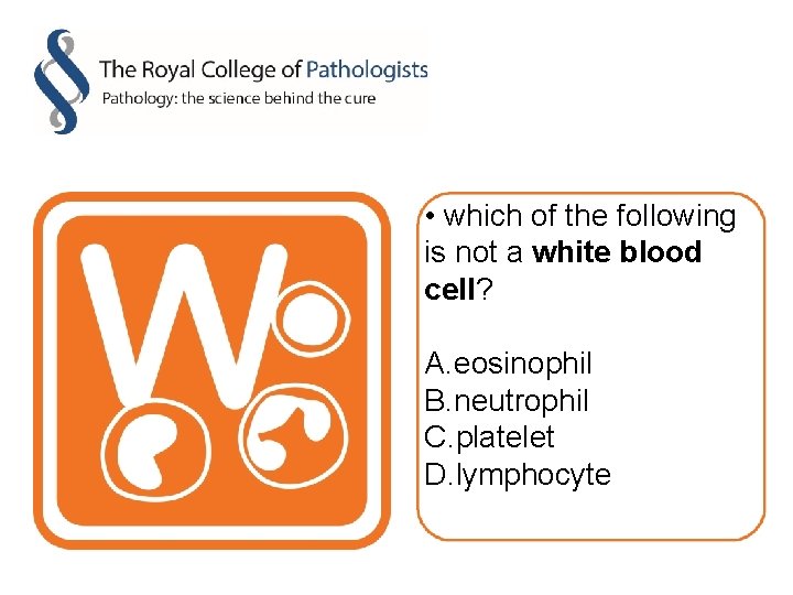  • which of the following is not a white blood cell? A. eosinophil