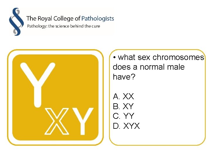  • what sex chromosomes does a normal male have? A. XX B. XY