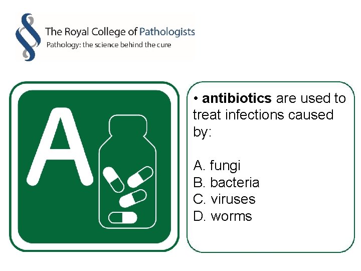  • antibiotics are used to treat infections caused by: A. fungi B. bacteria