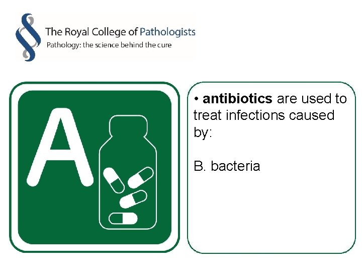  • antibiotics are used to treat infections caused by: B. bacteria 