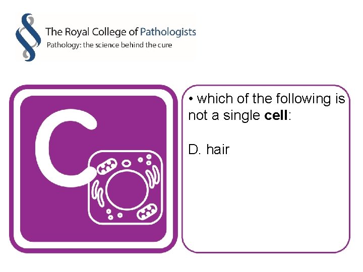  • which of the following is not a single cell: D. hair 