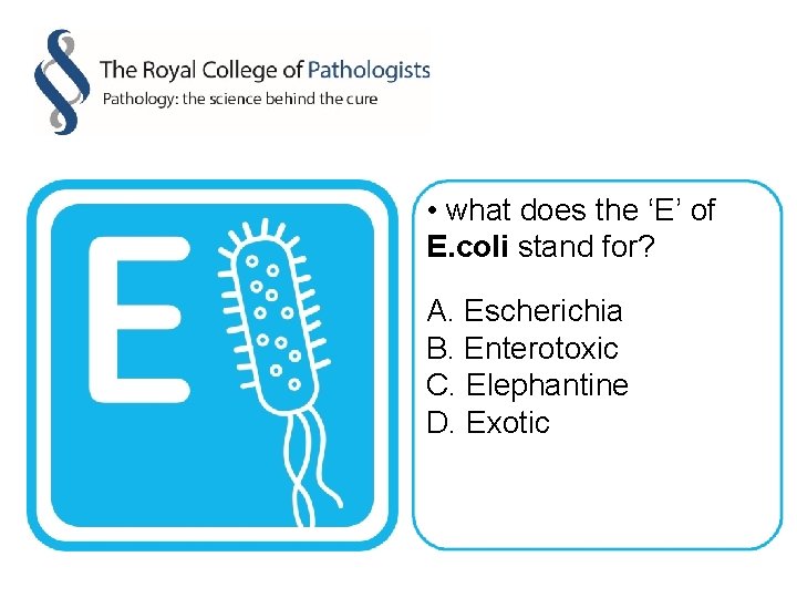  • what does the ‘E’ of E. coli stand for? A. Escherichia B.